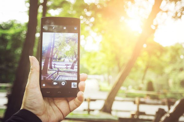Telefon komórkowy podczas robienia zdjęcia w parku